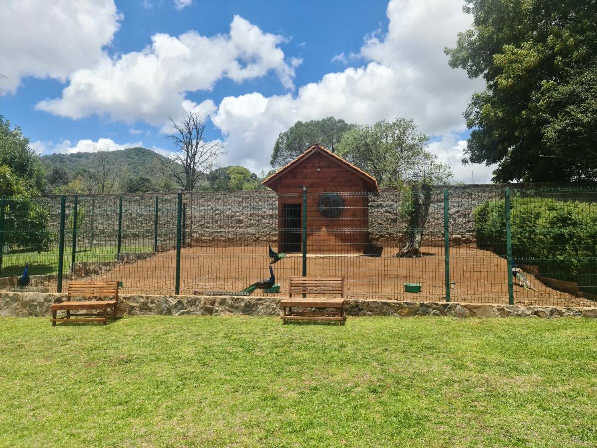 Finca Los Angeles Hospederia & Sociales Huasca de Ocampo Zewnętrze zdjęcie