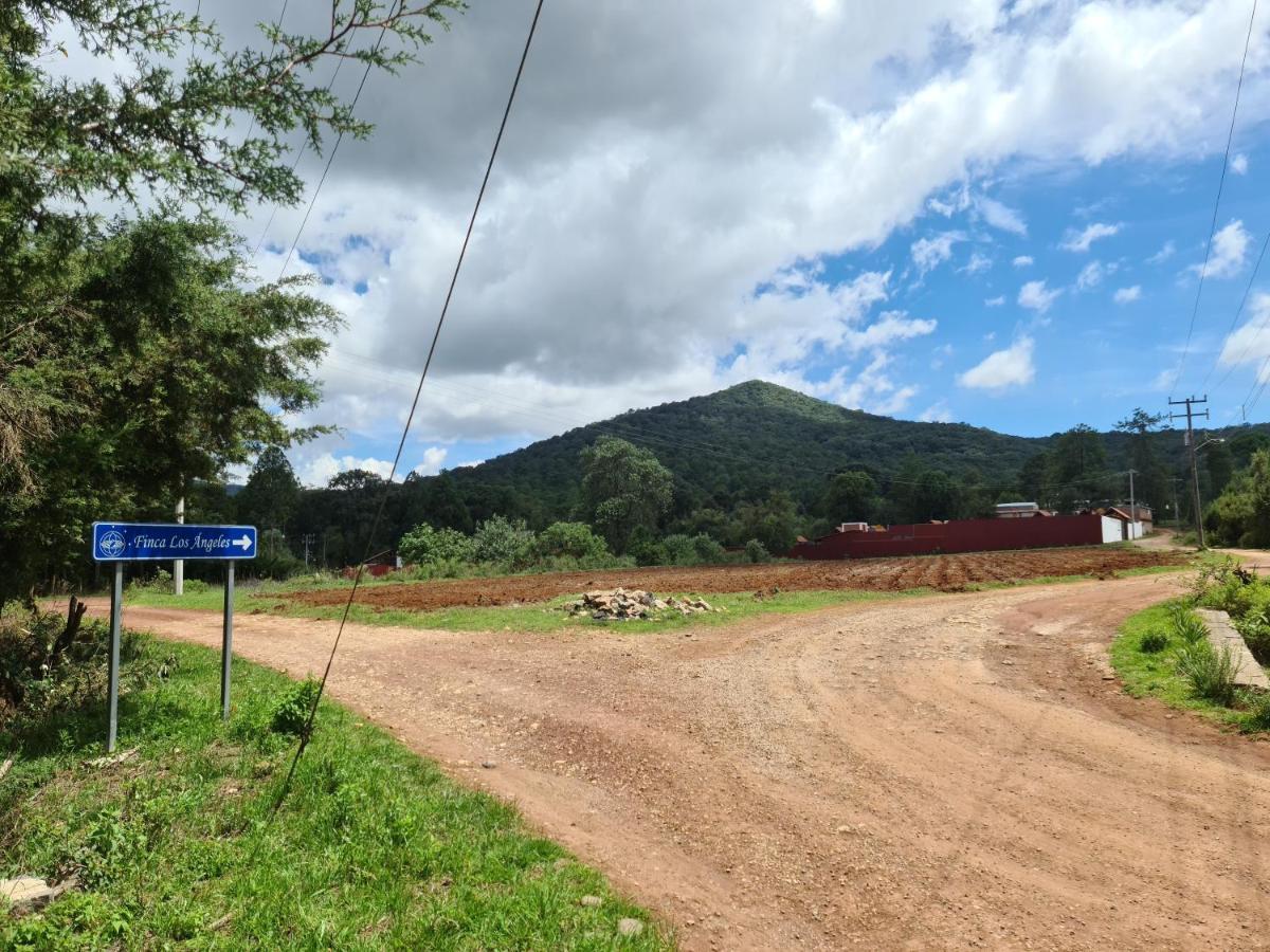 Finca Los Angeles Hospederia & Sociales Huasca de Ocampo Zewnętrze zdjęcie