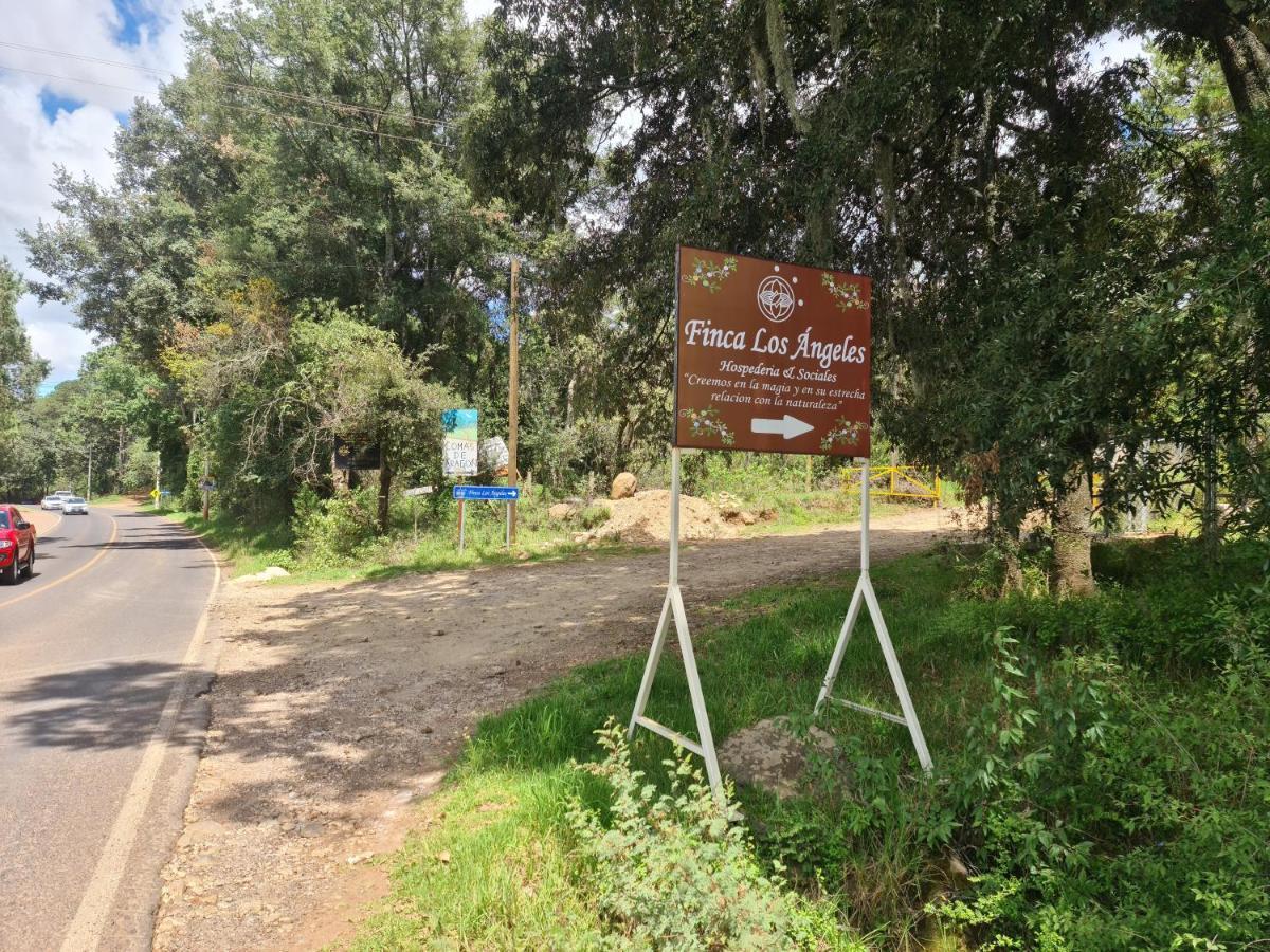 Finca Los Angeles Hospederia & Sociales Huasca de Ocampo Zewnętrze zdjęcie